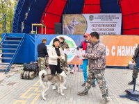 В Туве наградили хозяев лучших охотничьих собак
