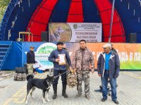 В Туве наградили хозяев лучших охотничьих собак