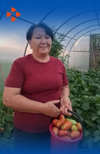 Жительница Тувы Людмила Сарбыкай обзавелась теплицей благодаря соцконтракту