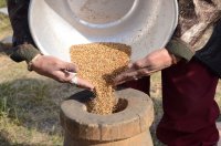 В Туве прошел праздник урожая, посвященный сохранению традиционной обработки тувинского проса