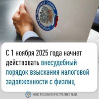 С 1 ноября налоговые службы Тувы смогут взыскивать долги с физлиц без суда
