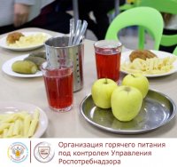 Роспотребнадзор Тувы проверил питание в школах республики и оштрафовал предпринимателей