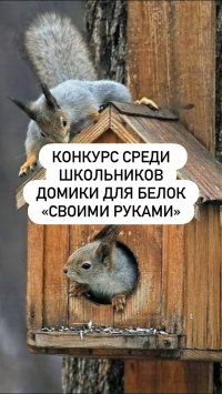 Школьников Тувы и их родителей приглашают создать дом для белок Национального парка