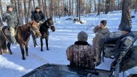 В Пий-Хемском районе Тувы не удается отловить матерых волков, которые досаждают чабанам