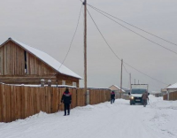 На Вавилинском затоне Кызыла провели отлов собак на свободном самовыгуле