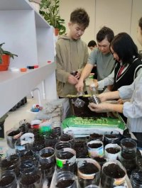 Тува: Юные аграрии Балгазына и Чадана высадили более 2,5 тысячи растений в школьных теплицах