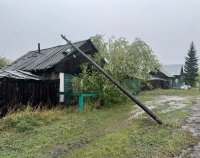 В городе Туране в Туве после падения опоры ЛЭП от удара электричеством погибли шесть коров