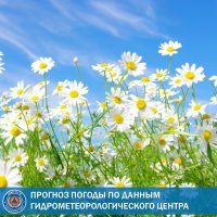 26 июня в Туве вместе с короткими дождями будет жара до +31°С