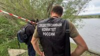 Родители опознали тела девочек, пропавших в Кызыле 1 июля