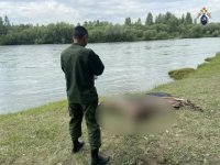 В Барун-Хемчикском районе Тувы обнаружено тело ранее пропавшей 24-летней женщины