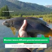 В Туве представителям коренного малочисленного народа разрешили ловить в 40 раз больше рыбы