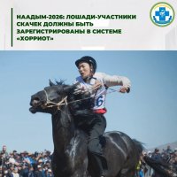 На скачки Наадыма допустят только зарегистрированных в системе «Хорриот» лошадей