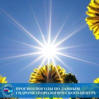 11 сентября днем в Кызыле будет +28°С